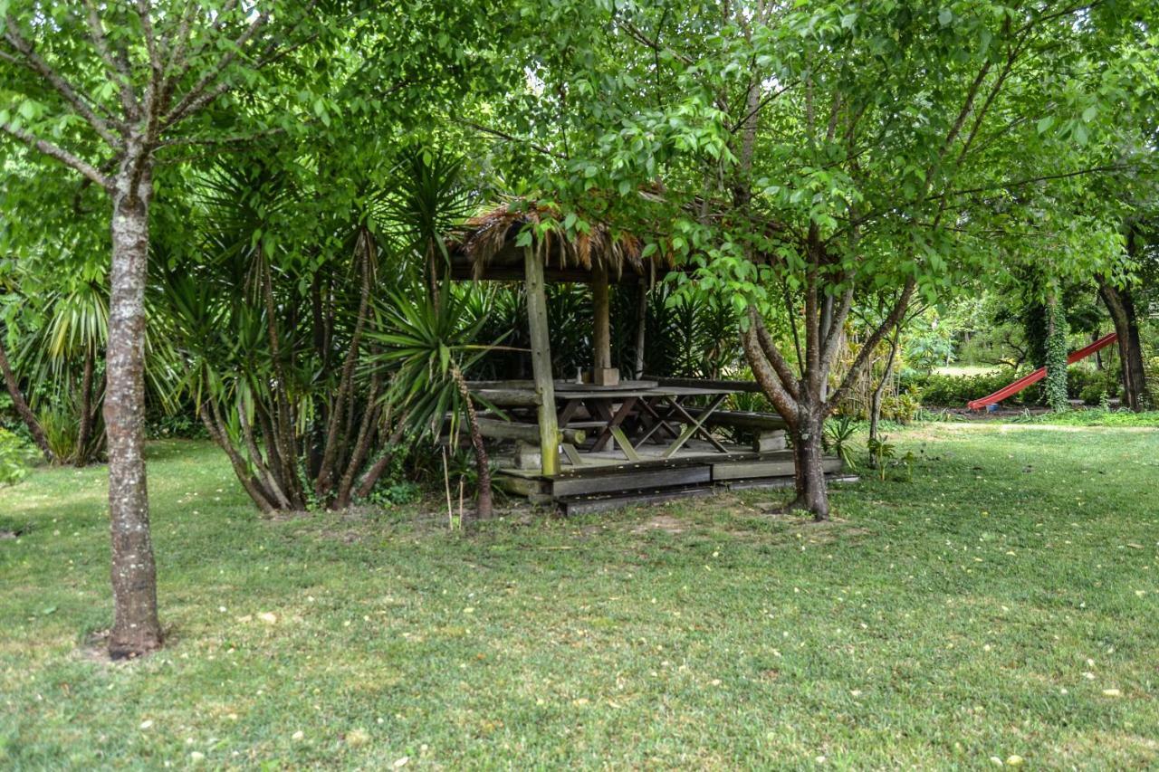 Quinta Da Mafalda Mira  Extérieur photo