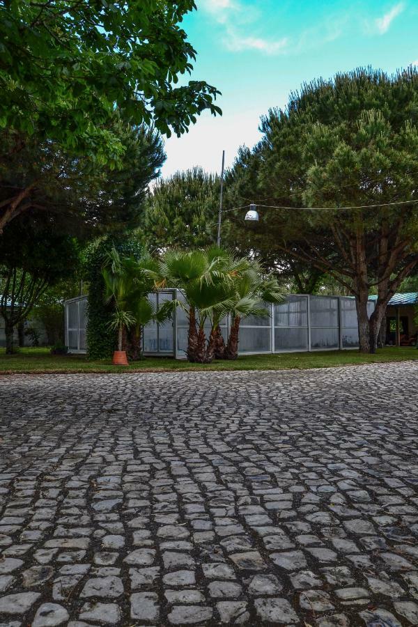 Quinta Da Mafalda Mira  Extérieur photo