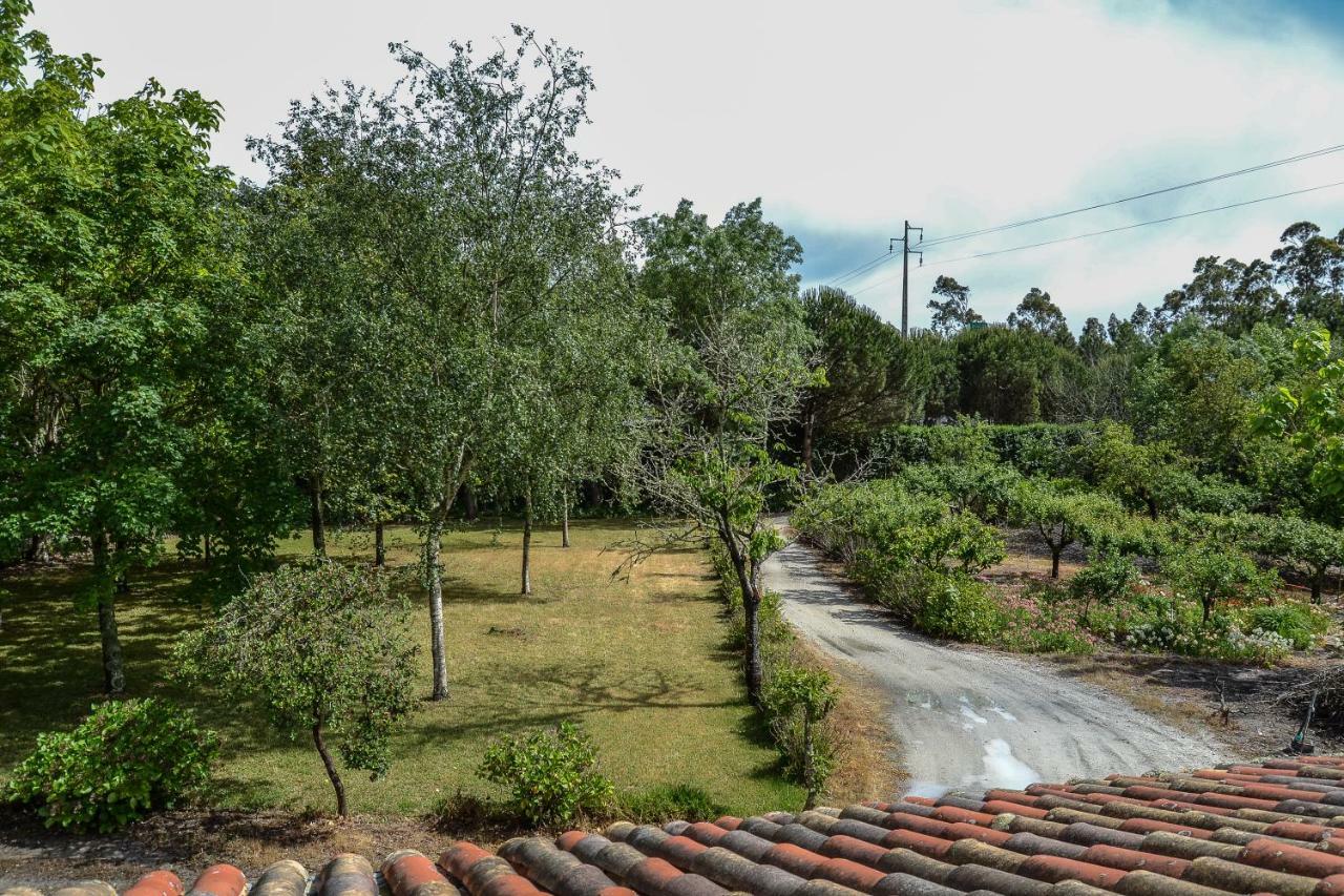 Quinta Da Mafalda Mira  Extérieur photo