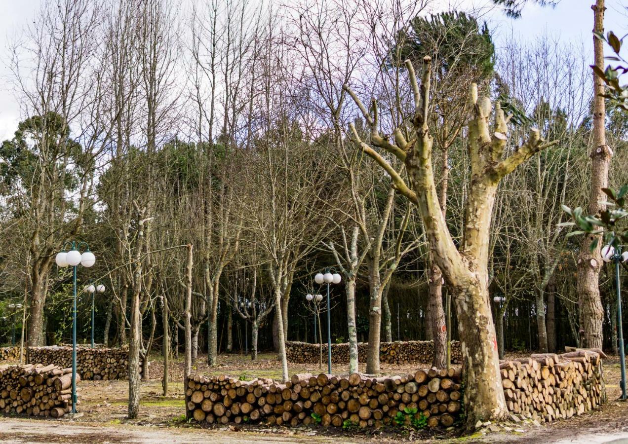 Quinta Da Mafalda Mira  Extérieur photo