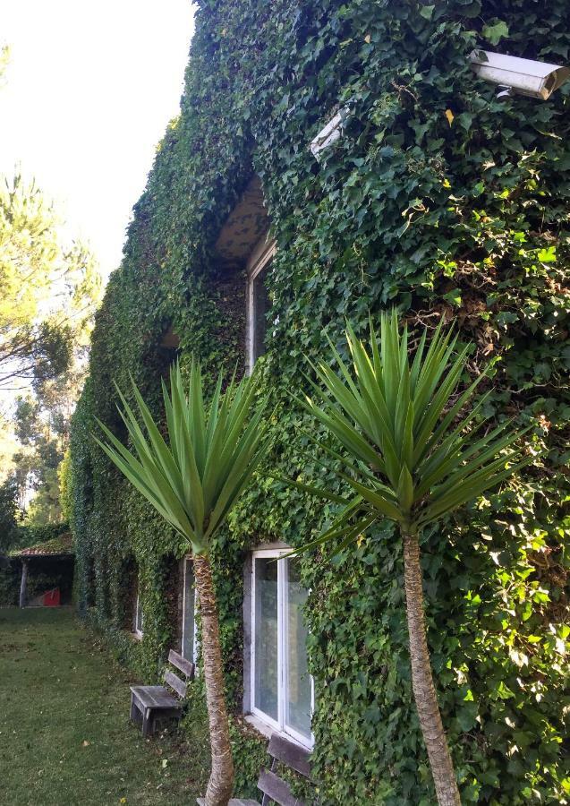 Quinta Da Mafalda Mira  Extérieur photo