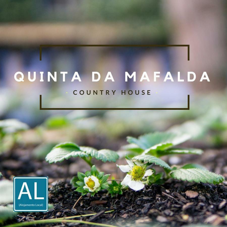 Quinta Da Mafalda Mira  Extérieur photo